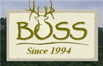 Boss Game Systems